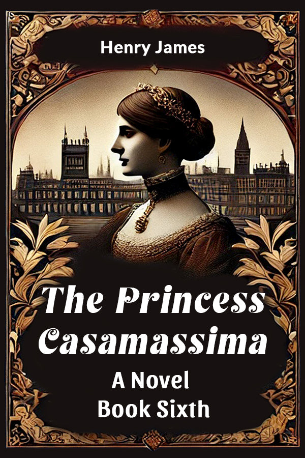 The Princess Casamassima A Novel Book Sixth